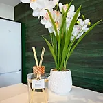 Apartament Petit Albert, Confortable, Proche De La Rochelle *