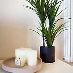 Apartament Petit Albert, Confortable, Proche De La Rochelle